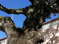 20141105 104433  JKJK#	ª6�÷û������ÜÚ����"������~	�����Å�t��Ú����z�RÚ�����ÒÖ�Jÿÿä��H·ÿÿÉ�ï­ÿÿÌ���,ÿÿ³Ò���	���P3�`���p���p���`���P3�P3�P3�P3�Q3�`����"��	��@"�`���p���p���`���P3�P3�P3�Q3�P3�`������	��P3�`���p���p���`���P3�P3�`���P3�`���`���	�	�	�	���`���p���`���p���Q3�P3�P3�Q3�P3�`���	�A"�	�	�	��`���`���`���`���P3�Q3�`���Q3�Q3�`����	�	�	�	�	�R���R���`���p���P3�P3�P3�P3�Q3�`����"�	�	�	�	�R���a	�Q3�`���`���Q3�P3�P3�Q3�`����	��2w�	�	�a	�R���Q3�Q3�P3�Q3�P3�Q3�Q3�R���	���2w�	�	�Bw�Bw�R���Q3�Q3�Q3�P3�Q3�A"�Q3�"���	��"�R���R���R���Q3�R���Q3�`���Q3�P3�P3�������	�b���R���Q3�R���R���A"�P3�Q3�P3�������	�R���R���R���R���Q3�Q3�Q3�Q3�Q3����"��"�`���a	�a	�R���Q3�Q3�Q3�Q3�Q3�Q3����"��Q3�P3�Q3�Q3�`���`���P3�Q3�Q3�P3�Q3������Q3�P3�"�`���`���`���`���P3�Q3�Q3�Q3�����"�A"���`���p���`���P3�P3�P3�Q3�Q3�Hú�üÿ��èw�~��þÿ��èu�T½�þÿ��æ´�������������������������������������Ù���­�ã����Qx�hÿ���â]�������������õÙ�÷ÿ��{�õÙ�÷ÿ��{�õÙ�÷ÿ��{�õÙ�÷ÿ��{�õÙ�÷ÿ��l����������������� È���������FAFA��60�u�ä��FAFA��¢����������F�Ì�Ld�]Ñ�o�Ü²�g �$�J¾�ÿ|�9æ�B3�/w�dö�s�ÖÅ�o�{Ó�k�n¸�g�7�~u�yÏ�������������������������������������������������������������������������������������������������������������������������������������������������������������FAFA������������������������������������������������������������®®®®F��~	�����Ä��Å�����º���)	��X	��ßÿÿÿ���������������������������������������������������������������������j��x���������������������Ó��������������������������������������������������������������0������������������������������ ���2���Ð��������������Å��~	���������������������������������������������������������������������������������������������������������������������PCL1643175 CALO13QASBGC01 CRC1F