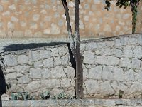 20141105 122031  JKJK#	ª6�÷û������ÜÚ����"������ç �����:	�L��¤Ê����þ§�çÄ����ð«�yÓ�½ÿÿÊ��Ç¸ÿÿl�Í®ÿÿ¯��±/ÿÿ Î�	�2w�2w�A"�b���R���A"�A"�A"�Q3�Q3�Q3�A"�@"�@"�@"�2w�2w�2w�Bw�R���b���A"�A"�A"�Q3�Q3�Q3�A"�@"�@"�@"�2w�2w�2w�2w�b���b���Q3�A"�A"�Q3�Q3�Q3�A"�@"�@"�@"�2w�Bw�2w�Bw�b���b���Q3�A"�Q3�Q3�Q3�P3�A"�@"�@"�@"�Bw�2w�	�Bw�b���a	�Q3�A"�Q3�Q3�P3�Q3�A"�@"�@"�@"�Bw�2w�	�b���a	�b���Q3�Q3�A"�Q3�Q3�Q3�A"�@"�@"�@"�2w�2w�	�b���a	�a	�Q3�Q3�A"�Q3�Q3�Q3�A"�@"�@"�@"�2w�	�	�R���a	�a	�Q3�Q3�Q3�Q3�Q3�Q3�A"�@"�@"�@"�	�2w�	�b���Q3�`���Q3�P3�Q3�Q3�Q3�Q3�Q3�@"�@"�@"�	�	�	�b���b���Q3�A"�A"�Q3�Q3�Q3�Q3�Q3�@"�0�@"�2w�	�	�b���b���b���Q3�A"�Q3�Q3�A"�Q3�Q3�@"�0�@"�"���2w�	�b���b���b���Q3�A"�Q3�Q3�A"�Q3�Q3�@"�@"�@"�	�2w�2w�a	�a	�b���Q3�A"�Q3�A"�A"�Q3�A"�@"�@"�@"�	�	�	�b���b���b���Q3�A"�A"�Q3�A"�Q3�Q3�@"�@"�@"�	�	�	�a	�a	�b���Q3�A"�Q3�Q3�A"�P3�Q3�@"�@"�@"�	�	�2w�b���a	�b���Q3�A"�A"�A"�A"�Q3�Q3�@"�@"�@"�íÚ����¯�QÒ�üÿ��d¥� Å�üÿ��´�������������������������������������Ù���¬�
����gæ�������������������������ÂÊ���d¬�ÂÊ���d¬�ÂÊ���d¬�ÂÊ���d¬�ÂÊ���¨�����������������������������FAFA��6�h�����FAFA���Ù���½G�_n�¦�P�+F�n(�£�O\��h��`�õG�d�[^�h�F�l�$�p�C�h�����Õ��������������������������������������������������������������������������������������������������������������������������������������������������������������������FAFA������������������������������������������������������������®®®®F��ç �����-��:	������º���¢	��Y	��&������������������������������������������������������������������������,��$������������������d���.��������������������������������������������������������������%������L�����������°�������������� ���2���x��������������:	��ç ��q�������������������������������������������������������������������������������������������������������������������PCL1643175 CALO13QASBGC01 CRC1F