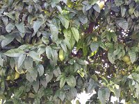 20141105 122259  JKJK#	ª6�÷û������ÜÚ����"������¥����J���Ã+����xÛ�ø*����ãÜ�-Õ�Éÿÿ "��½ÿÿâ�Àÿÿ¦���y(ÿÿáÖ�!"�!"�"D�!"�!"�!"�"D�!"�2D�!"�2D�1"�"D�!"�!"�!"�!"�!"�!"�!"�!"�!"�!"�"D�"D�!"�!"�!"�!"�"w�!"�!"�!"�!"�!"�!"�!"�"D�2w�"D�"w�!"�!"�!"�!"�!"�!"�!"�!"�!"�!"�!"�!"�!"�!"�"D�"D�!"�!"�!"�!"�!"�!"�"w�!"�!"�!"�"D�!"�"D�!"�"D�"D�2w�2D�"D�!"�!"�!"�!"�!"�!"�!"�"w�!"�!"�"D�"D�"D�2w�2w�"w�!"�1"�!"�!"�!"�!"�!"�!"�!"�"D�"D�"D�"D�"w�"D�"w�1"�!"�"w�!"�!"�!"�!"�"D�"D�"D�"D�"D�"D�"w�"D�"w�"w�"w�"D�!"�!"�!"�"D�"D�"D�"D�"D�2D�1"�"w�2w�"D�"D�"D�"D�!"�!"�!"�!"�"D�"D�"D�"w�2w�"w�!"�1"�1"�2w�2D�"D�!"�"D�"D�!"�!"�"D�!"�"w�"w�"w�2w�2w�1"�2w�2D�"D�2D�!"�"w�"w�2D�"D�!"�!"�"w�"w�2D�1"�1"�2D�"D�"D�"D�!"�"w�2w�2w�!"�!"�!"�"D�"D�!"�2D�2D�"D�"D�"D�"D�!"�"w�"w�"w�"w�!"�!"�"D�"D�!"�!"�2D�2D�"D�"D�"D�1"�"w�"w�"w�2w�"w�"w�"D�!"�!"�!"�"D�"D�"D�"D�2D�1"�"D�"D�"w�"w�"w�"D�!"�!"�1"�!"�!"�!"�"D�2D�2D�������������-6�üÿ��@á�������������Ö���å�������������������������������������¼Ä���.�������������������������n-�ìÿ��Kà�n-�ìÿ��Kà�+�ìÿ��Þ�+�ìÿ��Þ�+�ìÿ��SÛ�����������������������������FAFA��6������FAFA��P�L��P�D�3n�¥ð�E�N�Fª�#6�3��}��
�6w�N�»,�O}�¥�Oy�Æ �Nu�å�L}���������H��������������������������������������������������������������������������������������������������������������������������������������������������������������FAFA������������������������������������������������������������®®®®F��¥����O	��J�����º���t	��S	��&������������������������������������������������������������������������=��Â7������������������\���I	��������������������������������������������������������������H������^���í���������þ��úÿÿÿ�������� ���P���d���������������J��¥��å�������������������������������������������������������������������������������������������������������������������PCL1643175 CALO13QASBGC01 CRC1F