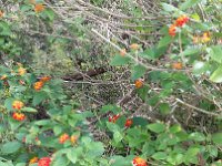 20141107 125337  JKJK#	ª6�÷û������ÜÚ����"������â�����%�Ü��"Ô����QÎ�Õ����Ï�=Ò�ÿÿ½��\¹ÿÿ�¯ÿÿ��ß0ÿÿÍ�2D�2D�2D�2D�2D�2D�2w�2w�BD�2w�2D�2w�2D�A"�Q3�1"�2D�2D�2D�BD�2D�2D�2w�2D�2w�2D�2D�2D�2D�A"�Q3�"w�2D�2D�BD�2D�2D�2D�Bw�2w�2D�2w�2D�2D�2D�Q3�BD�"w�2D�2D�BD�BD�2D�2D�2w�2D�2D�2w�"D�2D�2w�Q3�2D�"w�2D�2D�2D�2D�2D�2D�2w�"D�2D�2w�"D�2w�1"�Q3�2w�"w�2D�2D�2D�2D�2D�2w�2w�"w�a	�2D�2D�1"�Q3�A"�2w�"w�2D�2D�2D�BD�2D�BD�Bw�"w�R	��"w�R	��2w�Q3�A"�2w�2w�2D�2D�2D�BD�2D�2w�2D�"D�"D�"D�2w�2w�Q3�2D�2w�2w�2D�2D�BD�2D�2w�2w�2w�2D�"D�"D�"w�2w�Q3�2w�2w�2w�2D�2D�2D�2D�2w�2w�2D�"D�"D�"D�"D�2w�2w�2w�2w�2w�2D�2D�2D�2D�2w�2w�2D�2D�"D�b	��2D�"D�2w�2w�Q3�1"�BD�2D�2D�2D�2D�2D�"D�BD�"D�2D�q¦ �q¦ �"w�2w�2D�2w�R	��2D�2D�2D�2D�2D�"D�"D�R	��2w�q¦ �2w��2w�2D�2D�2D�2D�BD�2D�2D�BD�"w�2D�b	��"D�2w�2w�2w�2w�A"�2D�1"�2D�2D�2D�R	��2D�a	�"D�"D�"D�2w�1"�2w�2w�`	��1"�A"�2D�2D�2D�2D�2D�2D�"D�2D�2D�2w�2w�Bw�2D�1"�1"�������������SÕ�ÿÿ��Ç�¾�ÿÿ��·Ã�îò�þÿ��ù�������������W����4�\à�����Ã¦���¦�������������~����â�5Ô���Ó�6Ô���Ó�6Ô���Ó�6Ô���Ó�6Ô���eÎ�����������������������������FAFA��6�n�����FAFA���O���î@�gn�þ$�mP�Á�Z(�^�@V��f��Z�P�^^�î�db�GT�lf�[E�rj�>�xn��}r�9²�|n�����>��������������������������������������������������������������������������������������������������������������������������������������������������������FAFA������������������������������������������������������������®®®®F��â�����( ��%�����º���	��T	��&�����������������������������������������������������������������������C��8���������������������% ��������������������������������������������������������������R������n��������������8��çÿÿÿ�������� ���2���v���������������%��â��Ï�������������������������������������������������������������������������������������������������������������������PCL1643175 CALO13QASBGC01 CRC1F