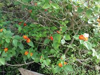 20141107 125341  JKJK#	ª6�÷û������ÜÚ����"������ �Bw�"w�"w�"w�q¦ �2w�2D�2D�2D�b	��2w�2D�2w�2w�"w�2w�Bw�"w�"D�"D�2w�2D�R	��2D�2w�2w�2w�2w�2w�2w�2w�"w�"w�2w�2D�R	��2w�2D�2D�BD�2w�Bw�2w�2w�2w�2w�2w�2w�2w�2w�"w�"w�2w�2D�2D�BD�2D�2w�2w�2w�2w�Bw�2w�A"�2w�2w�2w�"w�2w�2D�2D�2D�2D�2D�2w�2w�2w�Bw�2w�2w�2w�2w�2w�2w�2w�2D�2D�2D�2D�2D�2D�2w�2w�2w�2w�2w�2w�2w�1"�Bw�2w�R	��2D�2D�2D�2D�2w�2w�2D�2D�2w�2w�2w�2w�2w�2w�Bw�BD�BD�2D�2D�2D�2D�2D�2D�2D�2D�2w�2D�2w�2w�2w�2w�}ï����1Û�ðÕ���³×�ä»����Ì�Yñ���éù�������������������������à���m�û³���+ �������������������������Ê�ÿÿ��Ì¼�Ê�ÿÿ��Á¼�Ê�ÿÿ��Á¼�Ê�ÿÿ��Á¼�Ê�ÿÿ��M¸�����������������������������FAFA��6������FAFA��P�·��P�ñÅ�Jn�­®�d�ñ�qª� Ì�U������|�È÷�z�[]�|�õÌ�w�������������������������������������������������������������������������������������������������������������������������������������������������������������������������������FAFA������������������������������������������������������������®®®®F�� ��r�����º���T	��U	��������������������������������������������������������������������������H���H���������������������x ��������������������������������������������������������������D������d��������������ï��Þÿÿÿ�������� ���2������������������r