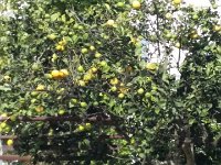 20141107 132619  JKJK#	ª6�÷û������ÜÚ����"������«	�����ó���¥Ó�����Ò����!�ÑÕ�Nÿÿá��¹·ÿÿ�,®ÿÿ��t-ÿÿvÑ�0�2w�2w�2w�2w�2w�2w�2w�2w�R���P3�R���b���P3�`���1"�1"�1"�1"�2w�2w�2w�2w�2w�2w�A"�Q3�P3�2w�p�������1"�2w�2w�2w�2w�2w�2w�Bw�Bw�������`���2w�Q3����1"�1"�2w�2w�2w�2w�2w�2w�2w�2w�A"�2w�Bw�`���R���2w�1"�1"�2w�2w�2w�Bw�Bw�2w�2w�2w�0�p���Bw��@"�1"�2w�0�2w�2w�2w�Bw�Bw�Bw�2w�2w�0�`������1"�2w�A"�2w�0�2w�2w�2w�2w�2w�2w�2w�2w�Bw�A"�p���2w�2w�2w�2w� �2w�2w�2w�R���R���Bw�2w�Bw�2w�2w�1"�2w�2w�2w�2w�0�2w�2w�Bw�2w�Bw�Bw�Bw�Bw�2w�2w�1"�2w�2w�2w�2w� �2w�2w�Bw�2w�Bw�2w�2w�Bw�2w�2w�1"�2w��1"�2w� �1"�2w�2w�2w�2w�2w�2w�2w�2w�2w�2w�2w�2w�2w�2w�0�Bw�2w�2w�2w�2w��1"�2w�2w�2w�2w�2w����P3�Bw�Bw�Bw���Bw��1"�2w�2w��2w�2w�2w��@"�A"�Bw��Bw�2w�2w�2w�1"�2w�2w���2w�	�2w�P3�@"�R�����	���2w�2w��A"����2w�`���`���Q3�1"��	�	��2w�2w�	���	���:î�ðÿ��S¡�ÆÜ���»�Ó���É�������������������������������������Ù����©�ä¦���C�������������������������xÓ�öÿ��Ó�Ó�öÿ��¬�Ó�öÿ��¬�Ó�öÿ��¬�Ó�öÿ��
�����������������������������FAFA��6�{�����FAFA���º���àó�Ín�p;P��Õ(�g �`��l��d�ä�ùh�+¥l�p�%Ðt�ö�ýp�����Ô��������������������������������������������������������������������������������������������������������������������������������������������������������������������FAFA������������������������������������������������������������®®®®F��«	�����ñ��ó�����º���Z	��X	���������������������������������������������������������������������������\��H[���������������������ð��������������������������������������������������������������v������¶�����������"��ðÿÿÿ�������� ���2���,��������������ó��«	���������������������������������������������������������������������������������������������������������������������PCL1643175 CALO13QASBGC01 CRC1F